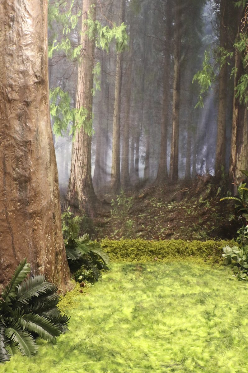 Studio oe Photo Spooktacular staged forest scene near Portland