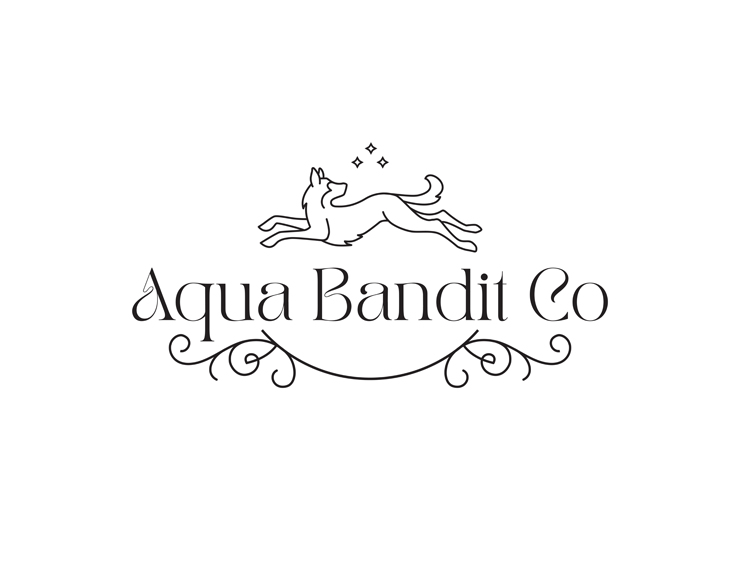 Aqua Bandit Co – logo