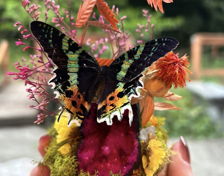 Hillsboro Oregon Artisan Market Vendor Valeria Wallflower 2